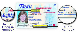 Find drivers license number florida